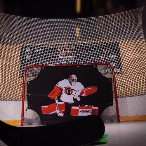 Mohawke Backstop nät till Hockeymål