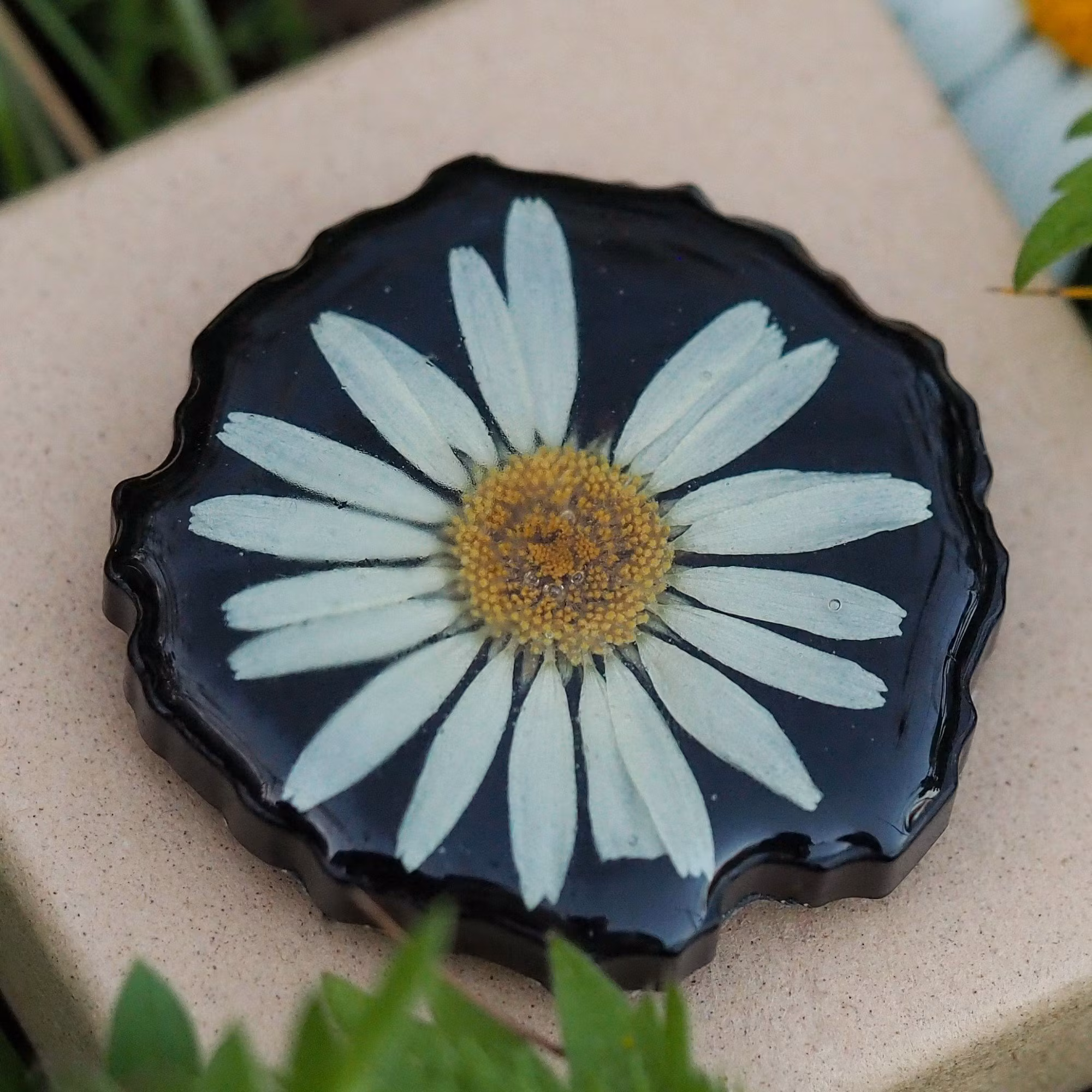 OTHER DAISY PRODUCTS - Frozen Summer Design AS