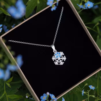 Forglemmegei Anheng Snøkrystall