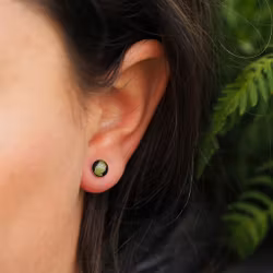 Bregne Øredobber Studs 6mm