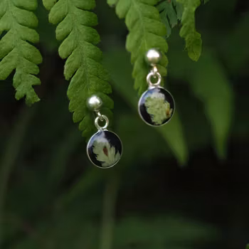 Bregne Øredobber Pin 8mm