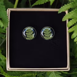 Bregne Øredobber Studs 20mm