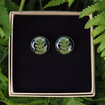 Bregne Øredobber Studs 20mm