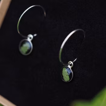 Bregne Øredobber Creoler 8mm