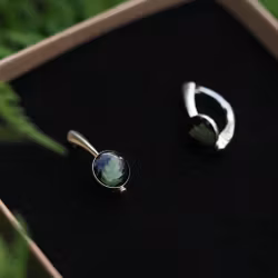 Bregne Øredobber Leverback Clip 8mm