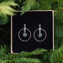 Bregne Øredobber Statement