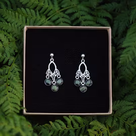 Bregne Øredobber Tradisjonell