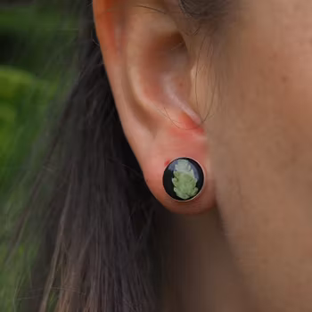 Bregne Øredobber Studs 10mm