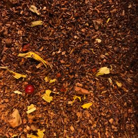 Rooibos Choklad