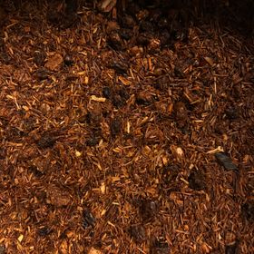 Rooibos Jordgubb Havtorn