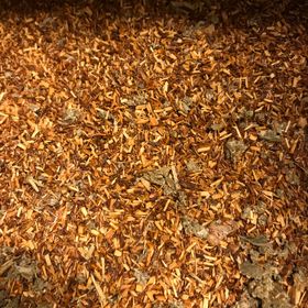 Rooibos Österlen