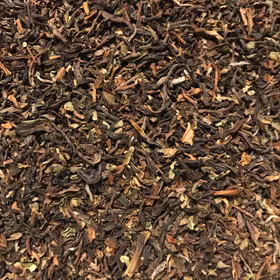 Darjeeling First Flush