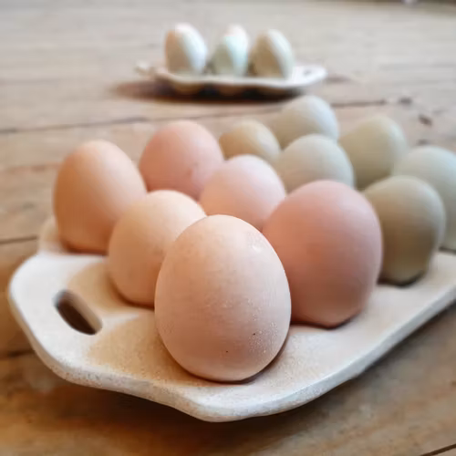 Äggfat 6 eller 12 ägg