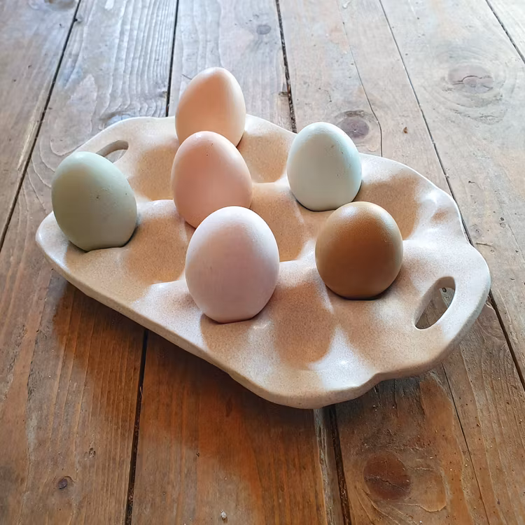 Äggfat 6 eller 12 ägg