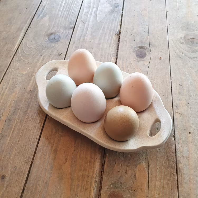 Äggfat 6 eller 12 ägg