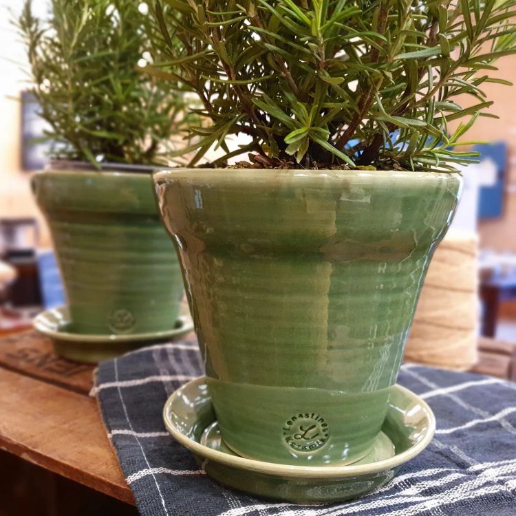 Blomkruka grön