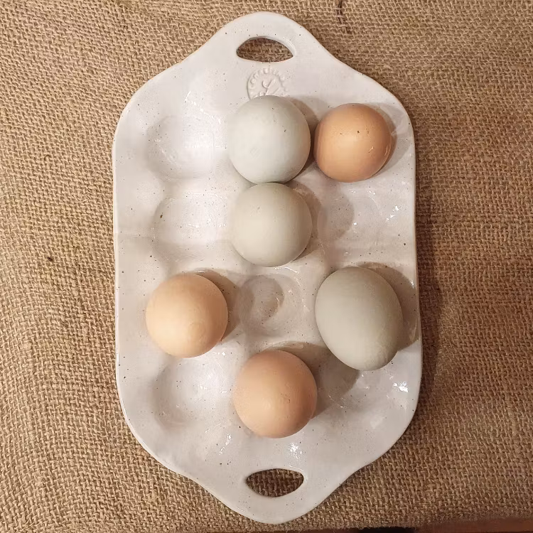 Äggfat 6 eller 12 ägg