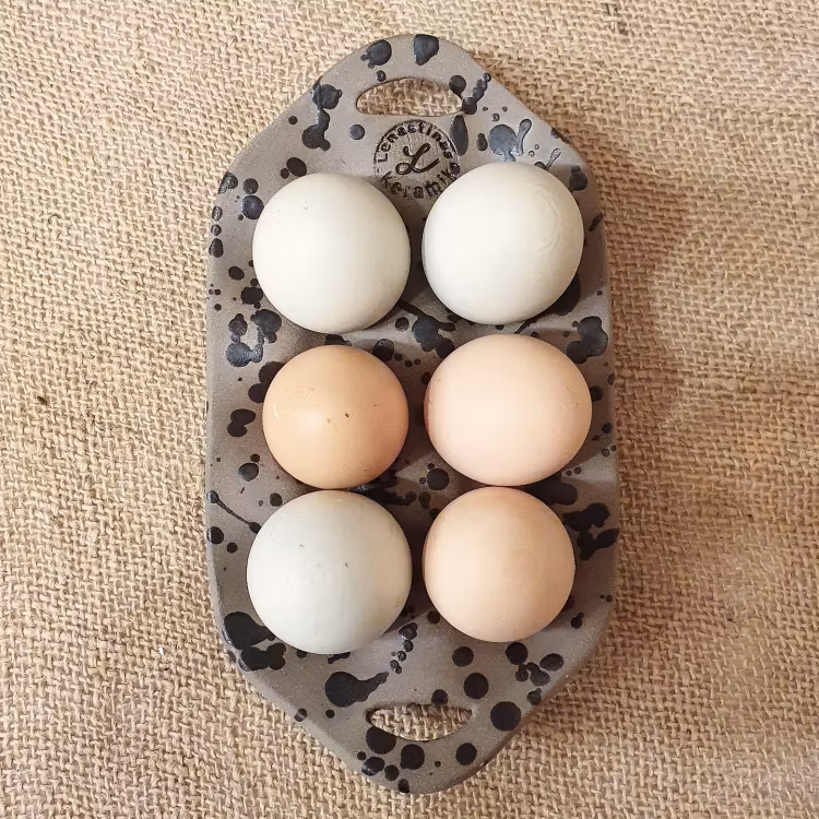 Äggfat 6 eller 12 ägg