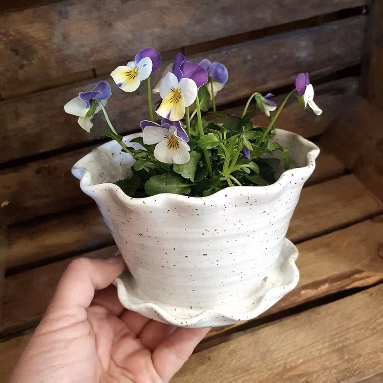 Söt blomkruka och fat i ett