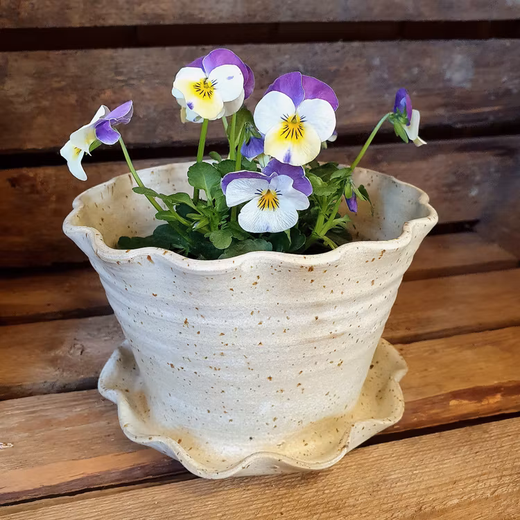 Söt blomkruka och fat i ett