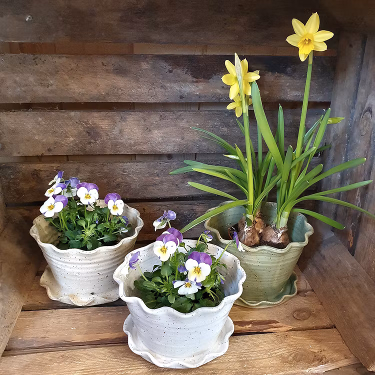 Söt blomkruka och fat i ett