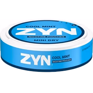 Zyn Mint Dry cool mint no4