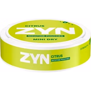 Zyn Mint Dry Citrus no2