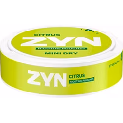 Zyn Mint Dry Citrus no2