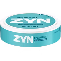 Zyn Spearmint Mini Dry