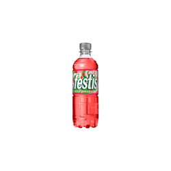 Festis wild strawberry 50cl