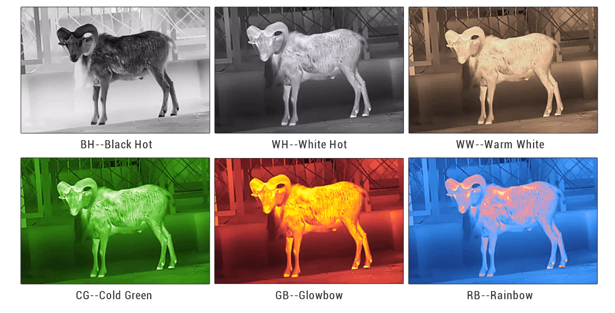 ConoTech - Night Arrow NAR-635 PRO