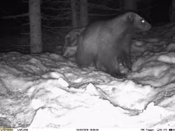 *TESTVINNARE* UOVision - UM785-4G/LTE 20mp Cloud - APP Övervakningskamera