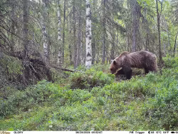 UOVision - Glory 4G/LTE 20mp Cloud - APP Övervakningskamera