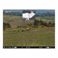 Pulsar - Thermion DUO DXP55 640x480 Multispektralt mörkersikte