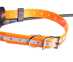 *UTSEDD TILL BÄSTA HUNDPEJL 2024* - Tracker Artemis 4G IoT/2G