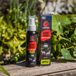 Black Fire Spray - Äpple 100 ml