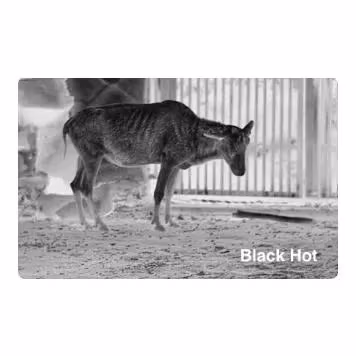 PixFra Ranger 384x288, 25 mm Värmekamera