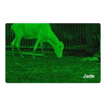 PixFra Ranger 640x512, 35 mm Värmekamera