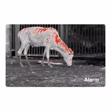 PixFra Ranger 640x512, 35 mm Värmekamera