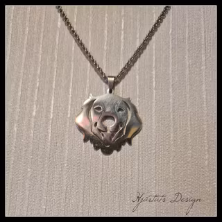 Halsband Hund