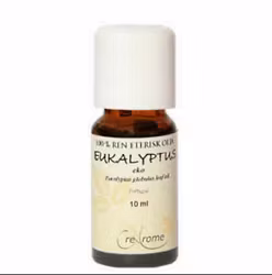 Eukalyptus eko, 10 ml