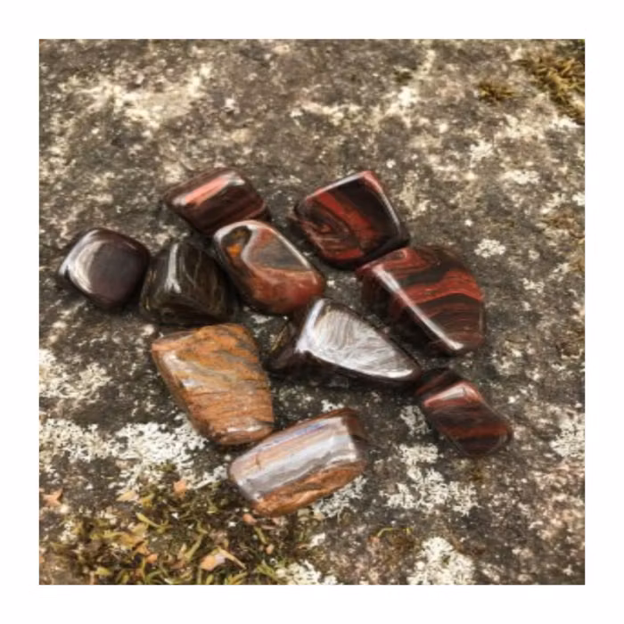 Tigerjärn , trumlad