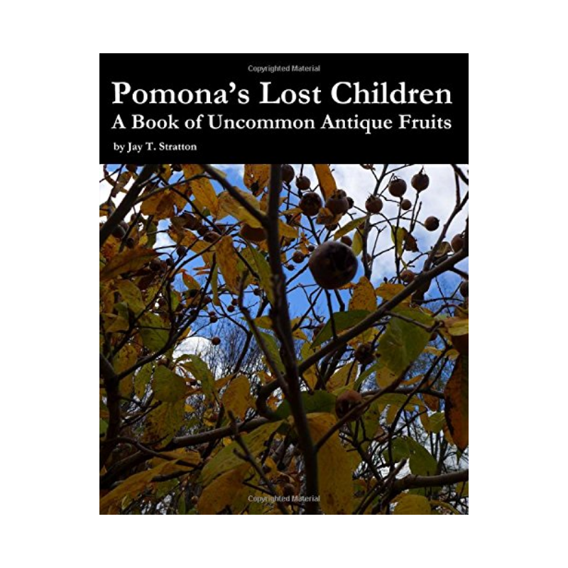 Pomona´s lost children, bok