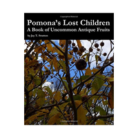 Pomona´s Lost Children - Bok