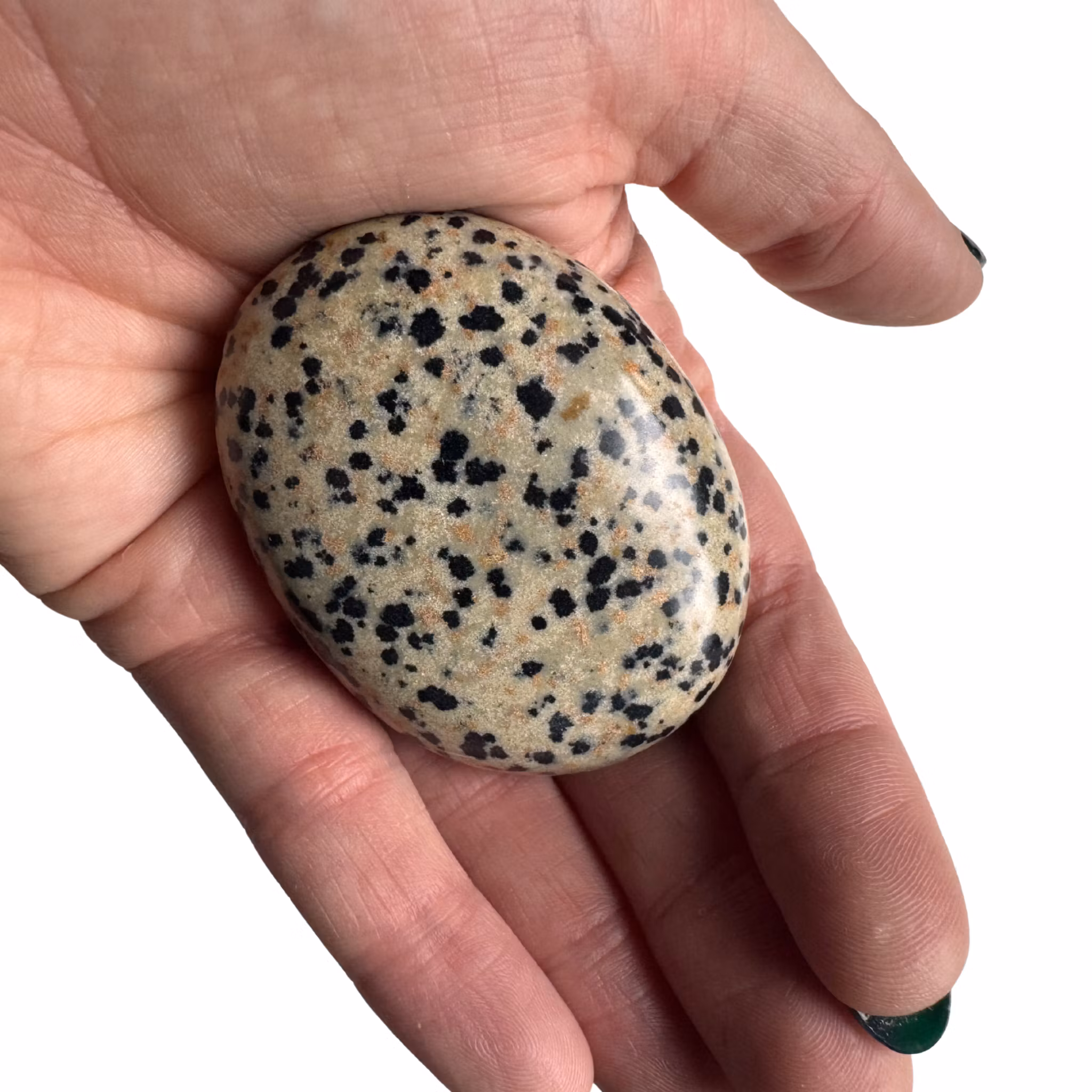 Dalmatinerjaspis - Handsten (Palm Stone)