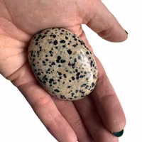 Dalmatinerjaspis - Handsten (Palm Stone)
