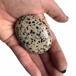 Dalmatinerjaspis - Handsten (Palm Stone)