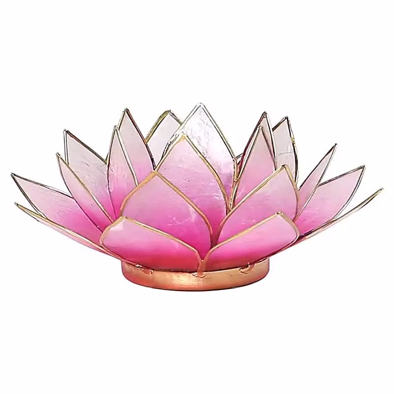 Lotusblomma (Lotuslykta) - ljushållare