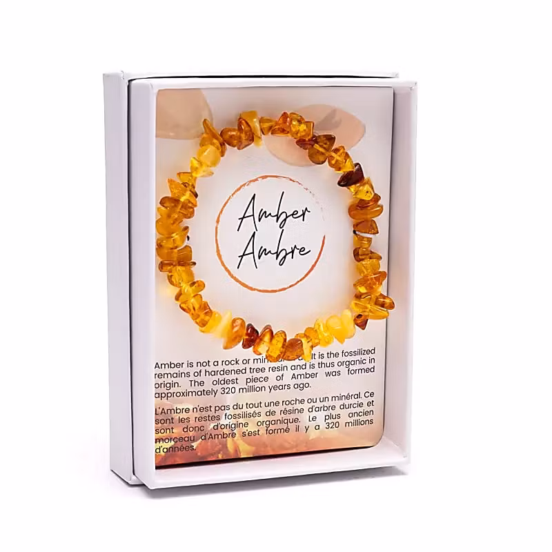 Chipsarmband bärnsten i presentförpackning