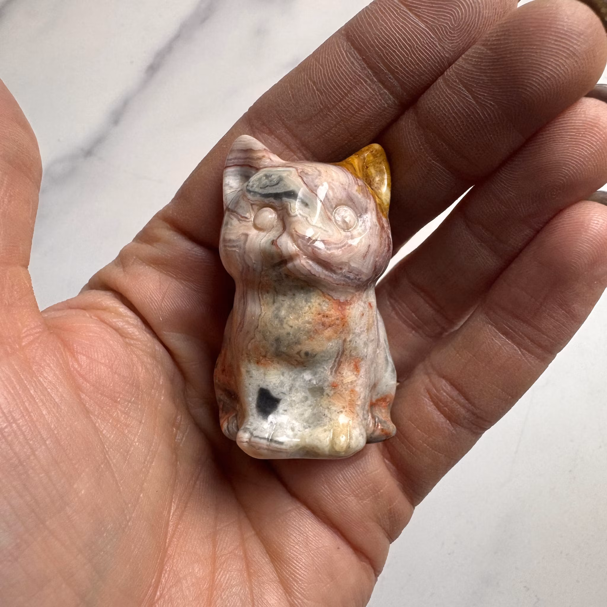 Crazy Lace Agat Katt nr 1